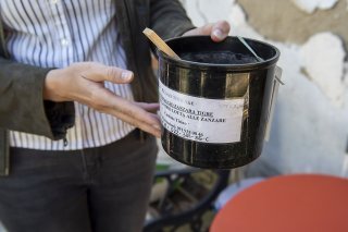 Les cantons traquent le moustique-tigre pour prévenir entre autres les transmissions du virus de la dengue ou du chikungunya (archives). KEYSTONE/MARTIAL TREZZINI